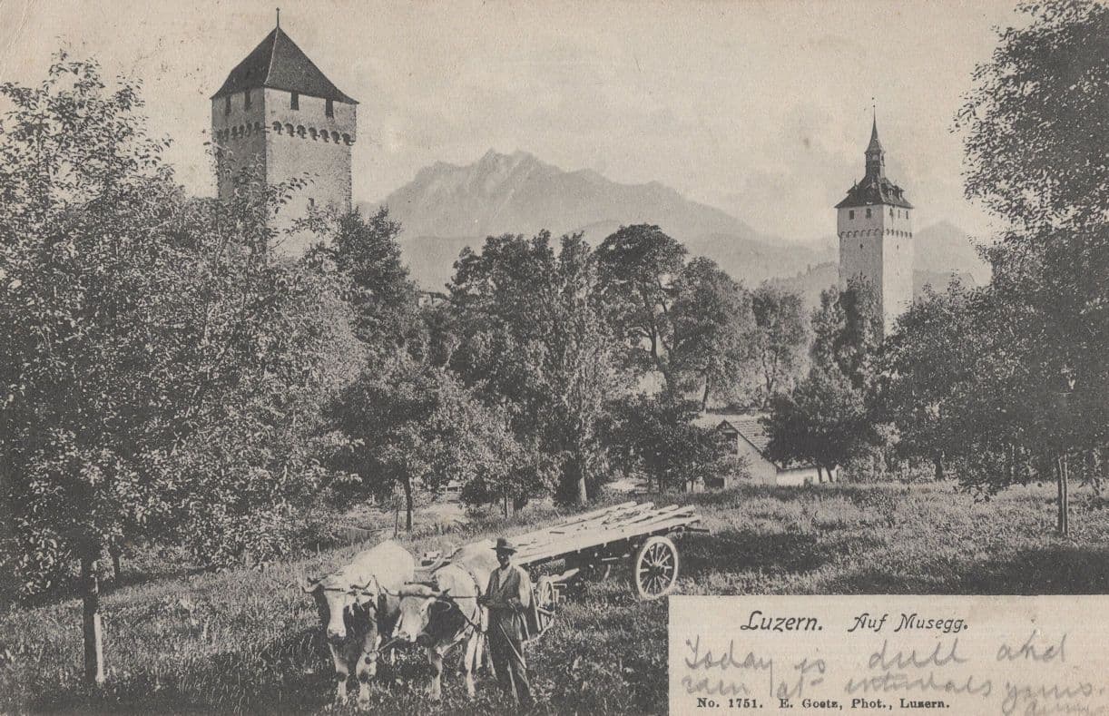 Luzern auf Musegg Farm Transport Antique Switzerland Postcard