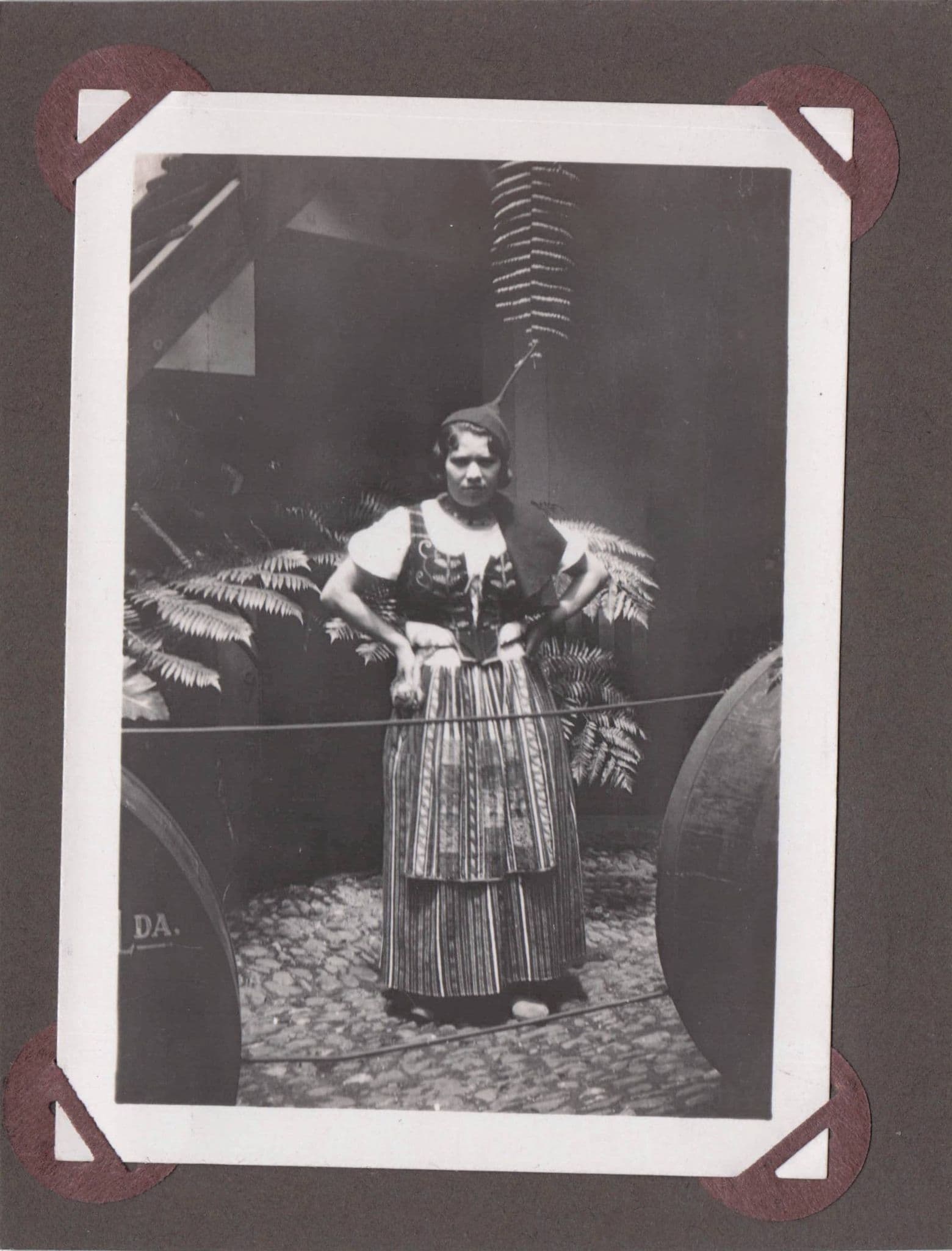 Madeira Cattle Transport Trip & Lady Wine Lodge Trader 2x Old Photo s