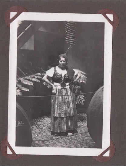 Madeira Cattle Transport Trip & Lady Wine Lodge Trader 2x Old Photo s