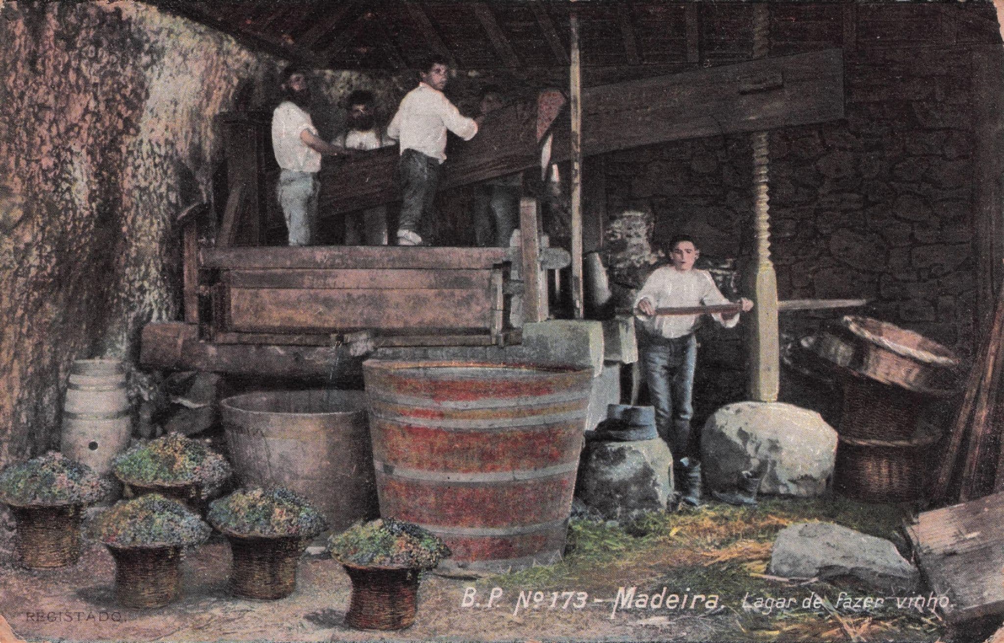 Madeira Lagar De Fazer Vinho Wine Portugal Old Posdtcard