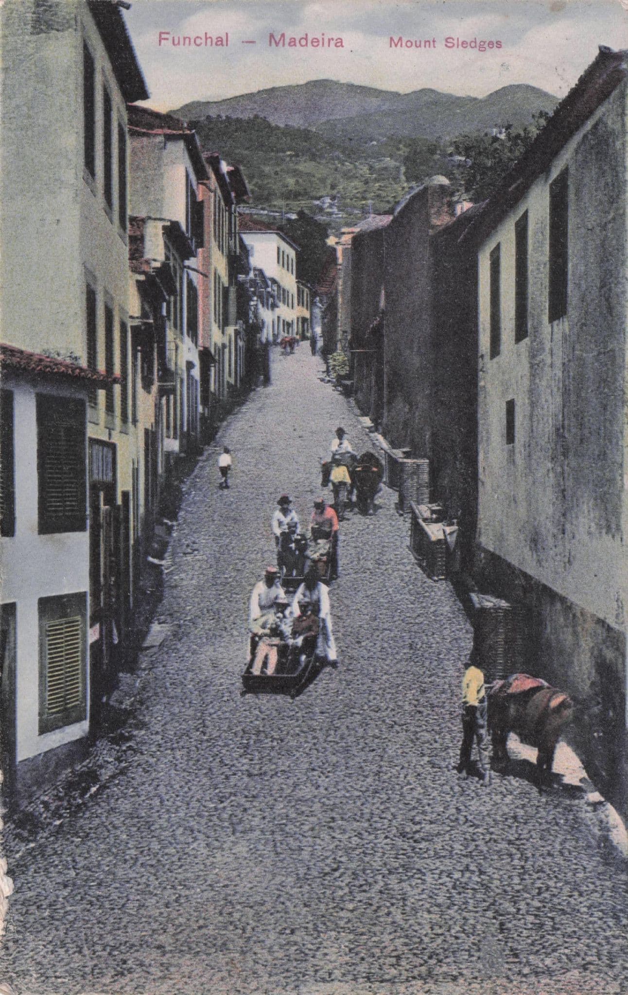 Madeira Mount Sledges Antique Portugal Funchal Postcard
