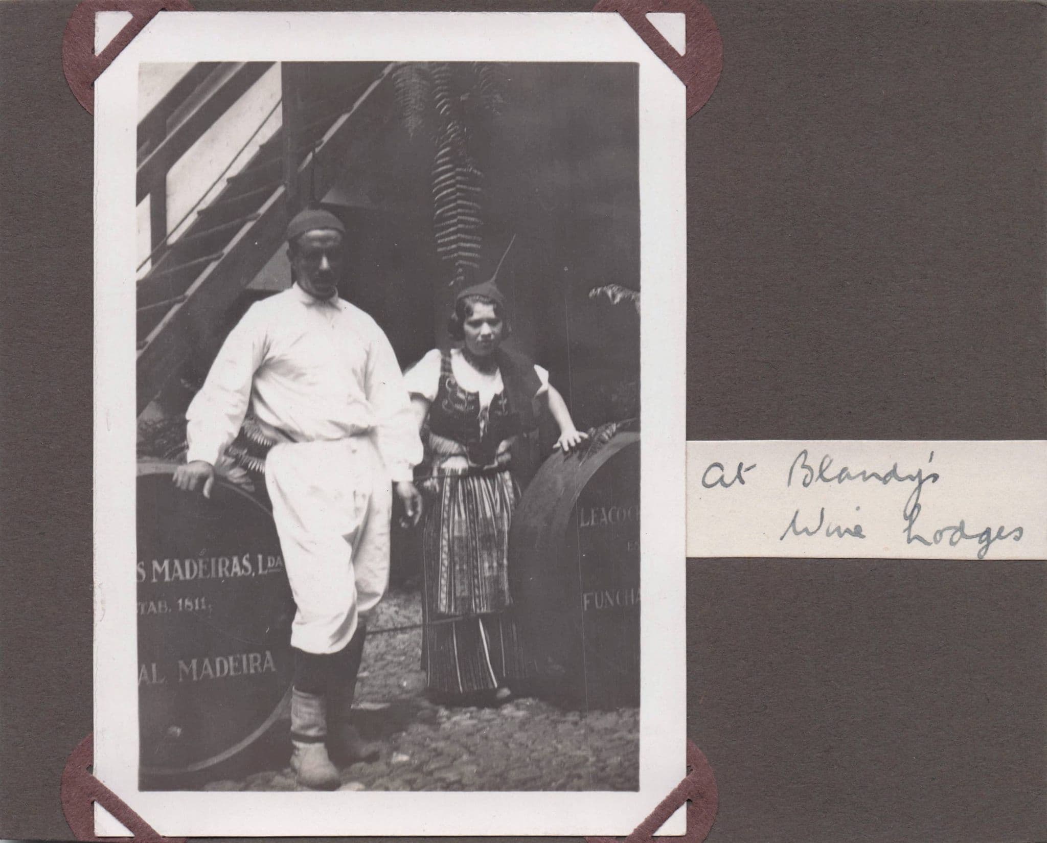 Madeira Named Wine Lodge & Transport Portugal 2x Old Photo s