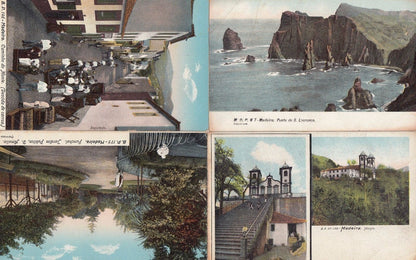 Madeira Portugal Funchal Cathedral Jardim 7x Postcard s