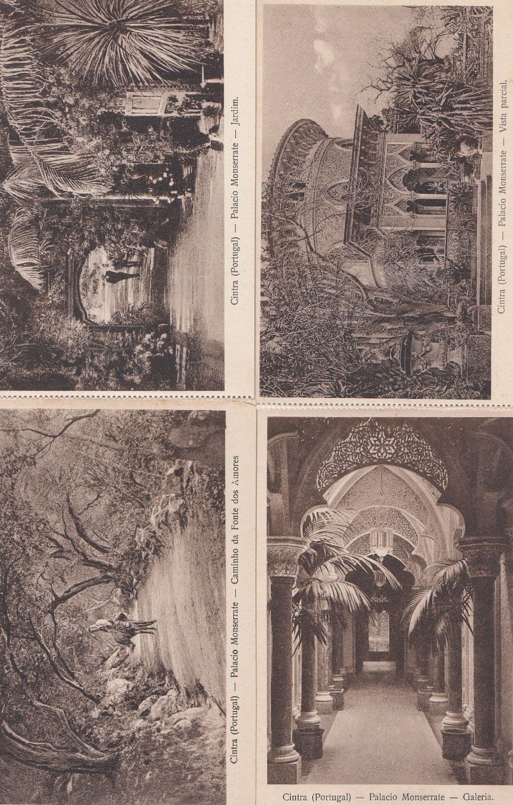 Madeira Portugal Palacio Monserrate Gardens 4x Postcard s