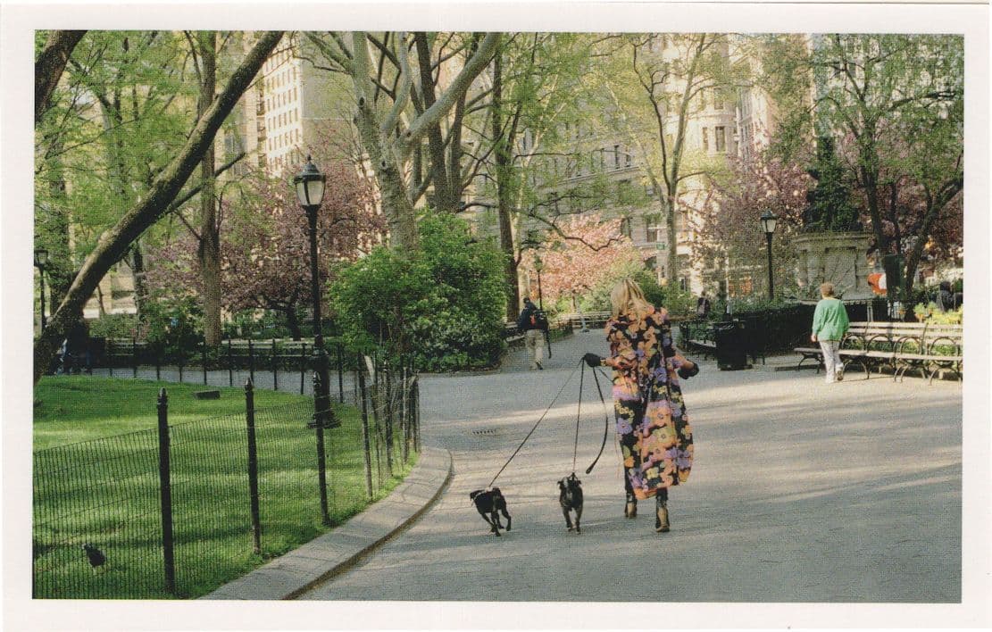 Madison Square Wild Spring Fashion Lady Dogs Award Photo Postcard