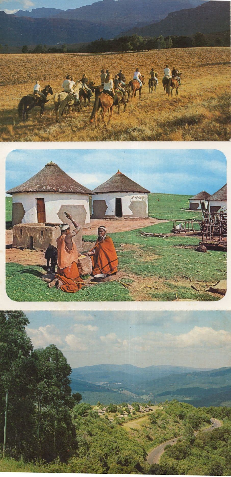 Magoebaskloof Transkei Women Drakensberg Horse Ride 3x African Postcard s