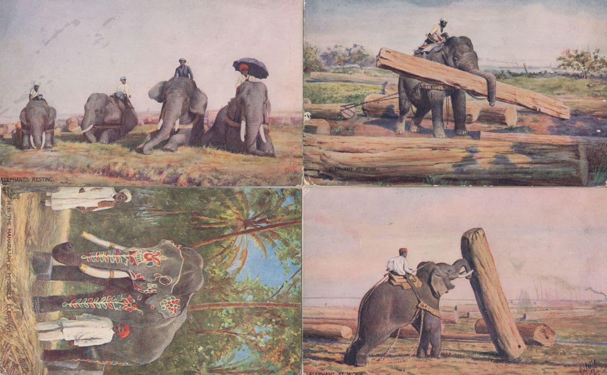 Maharaja Elephant At Work 4x Tucks Old Elephant Postcard s Please Read