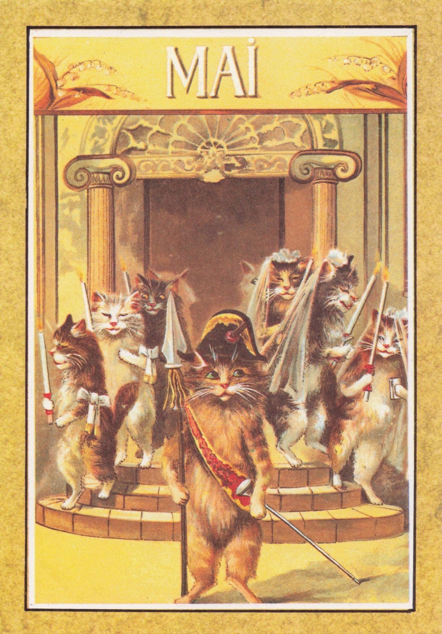 Mai Cats In Napoleon Bonaparte Military Calendar French Cat Postcard