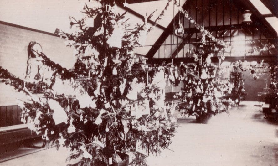 Maidenhead Berkshire Christmas Tree Shop Display Real Photo Postcard