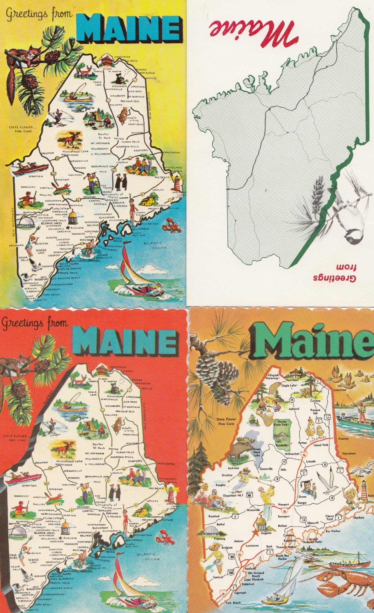 Maine Lobster Bird USA 4x Map Postcard s