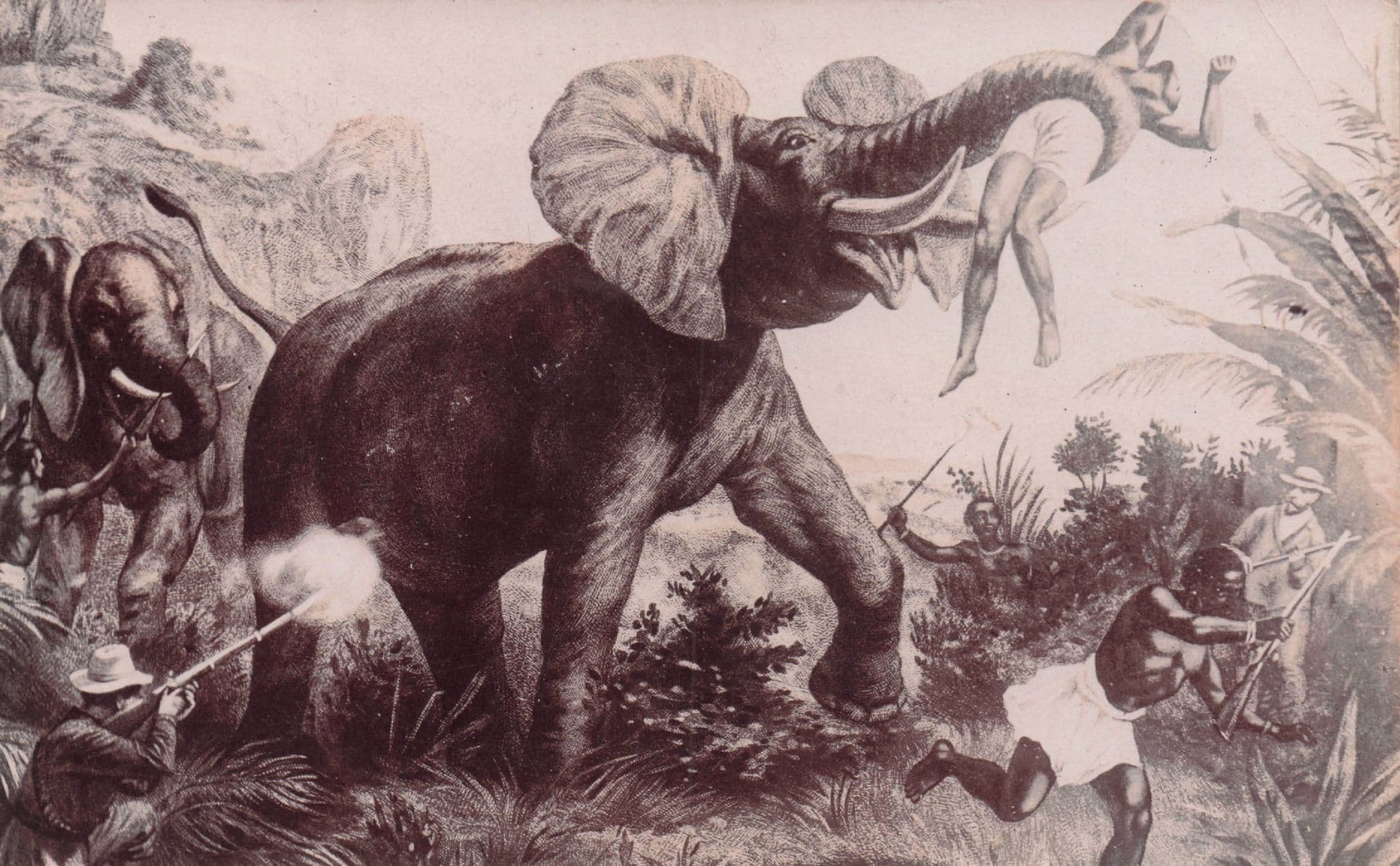 Malaya Elephant Killing Hunting Party Old WW1 Real Photo Postcard