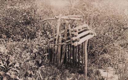 Malaya Sakais Tribe Animal Hunting Trap Old Photo Postcard
