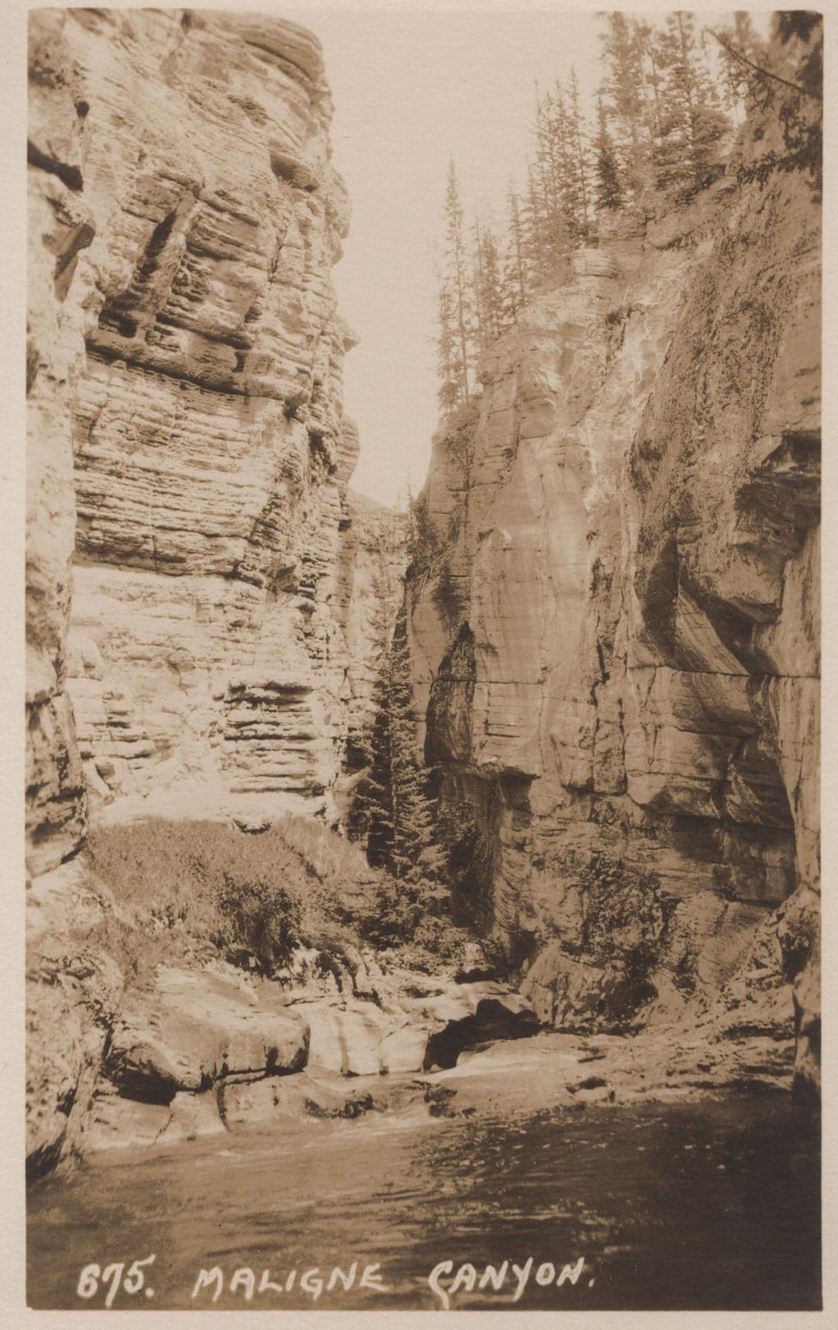 Maligne Canyon Jasper Park Canada Rare Mint Antique Postcard