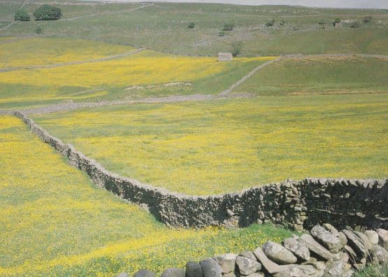 Mallerstang Valley Yorkshire Upper Eden Rare Postcard