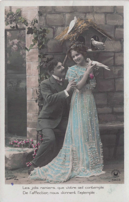 Man & Glamour Lady Caressing Bird at House Nest Romance Secret Code Old Postcard