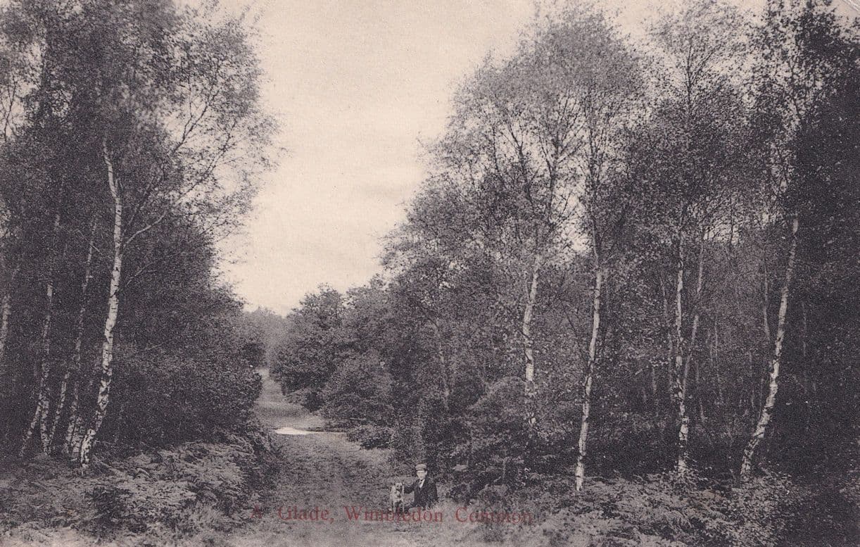 Man & His Dog on Wimbledon Common Antique Postcard