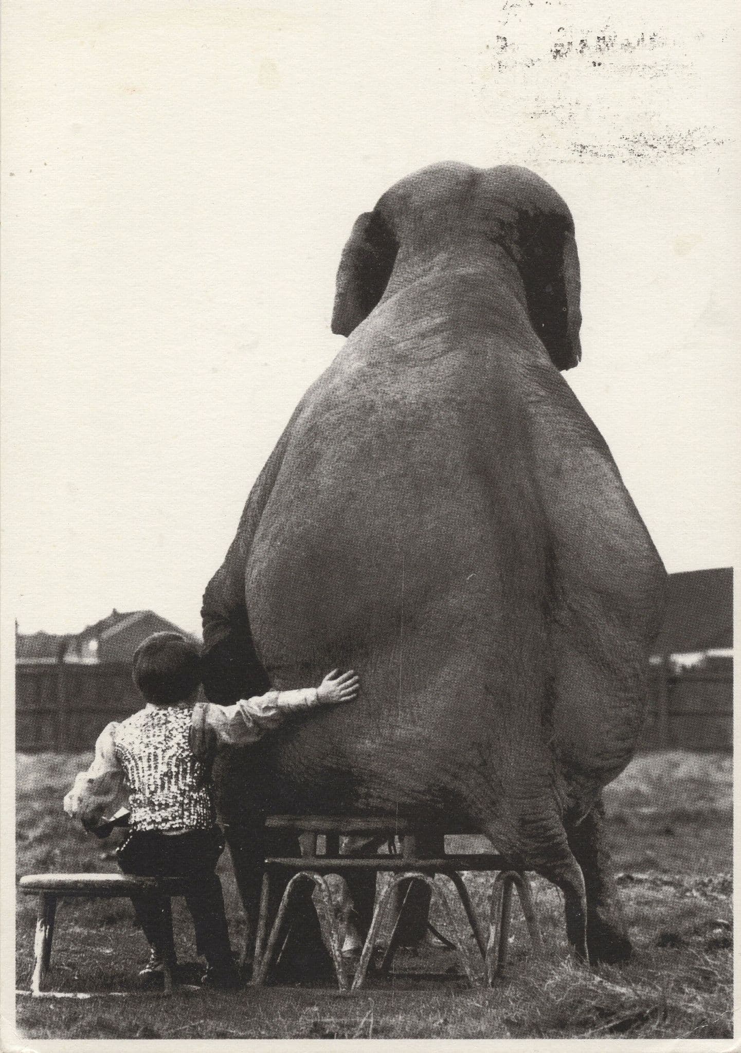 Man Romantically Cuddling Giant Elephant Amsterdam Comic RPC Postcard