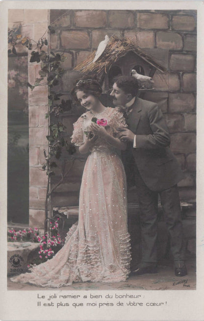 Man Seducing Lady Under Antique Bird House Nest French Love Secret Code Postcard