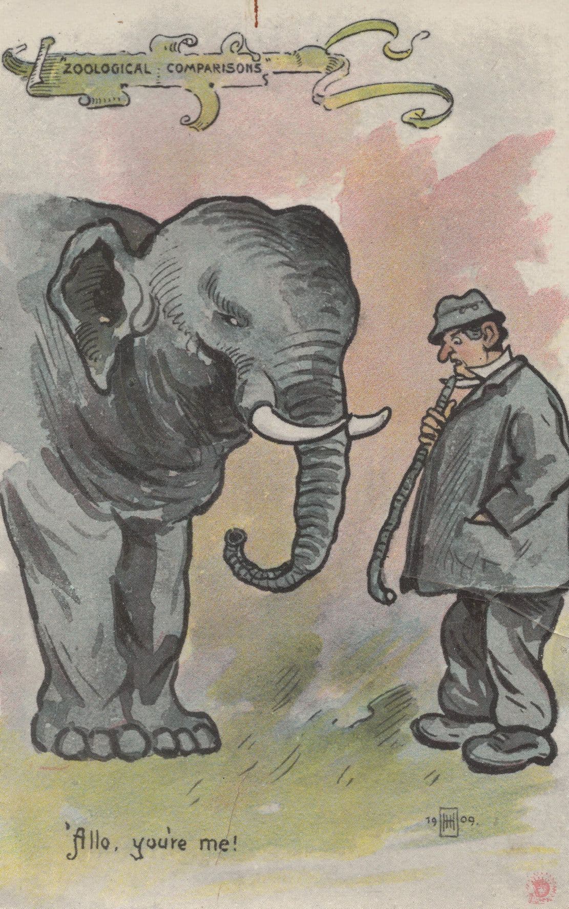 Man Vs Elephant Zoo Comparisons Old Animal Comic Postcard