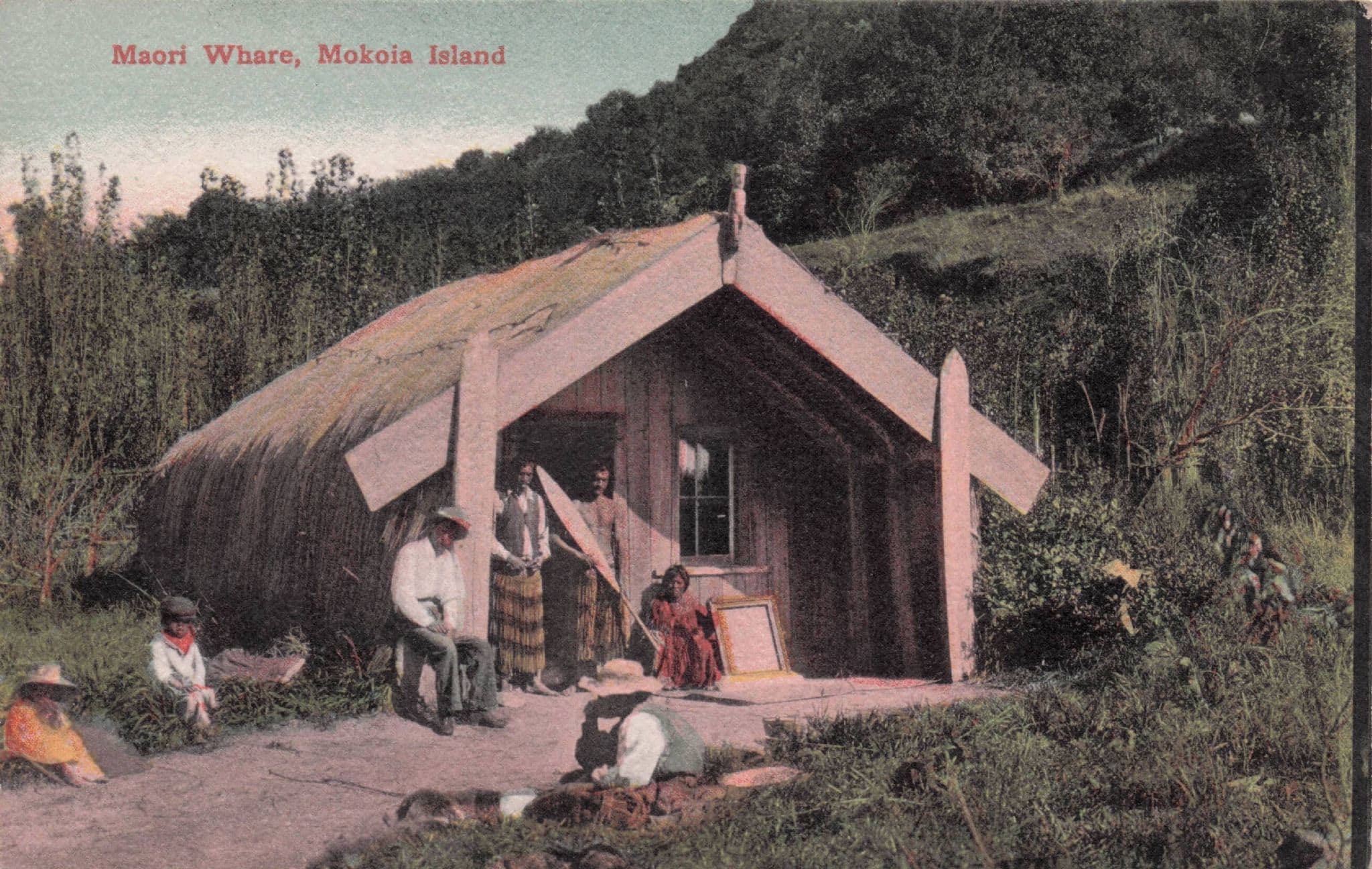 Maori Whare Makoia Island Native House New Zealand Old Postcard
