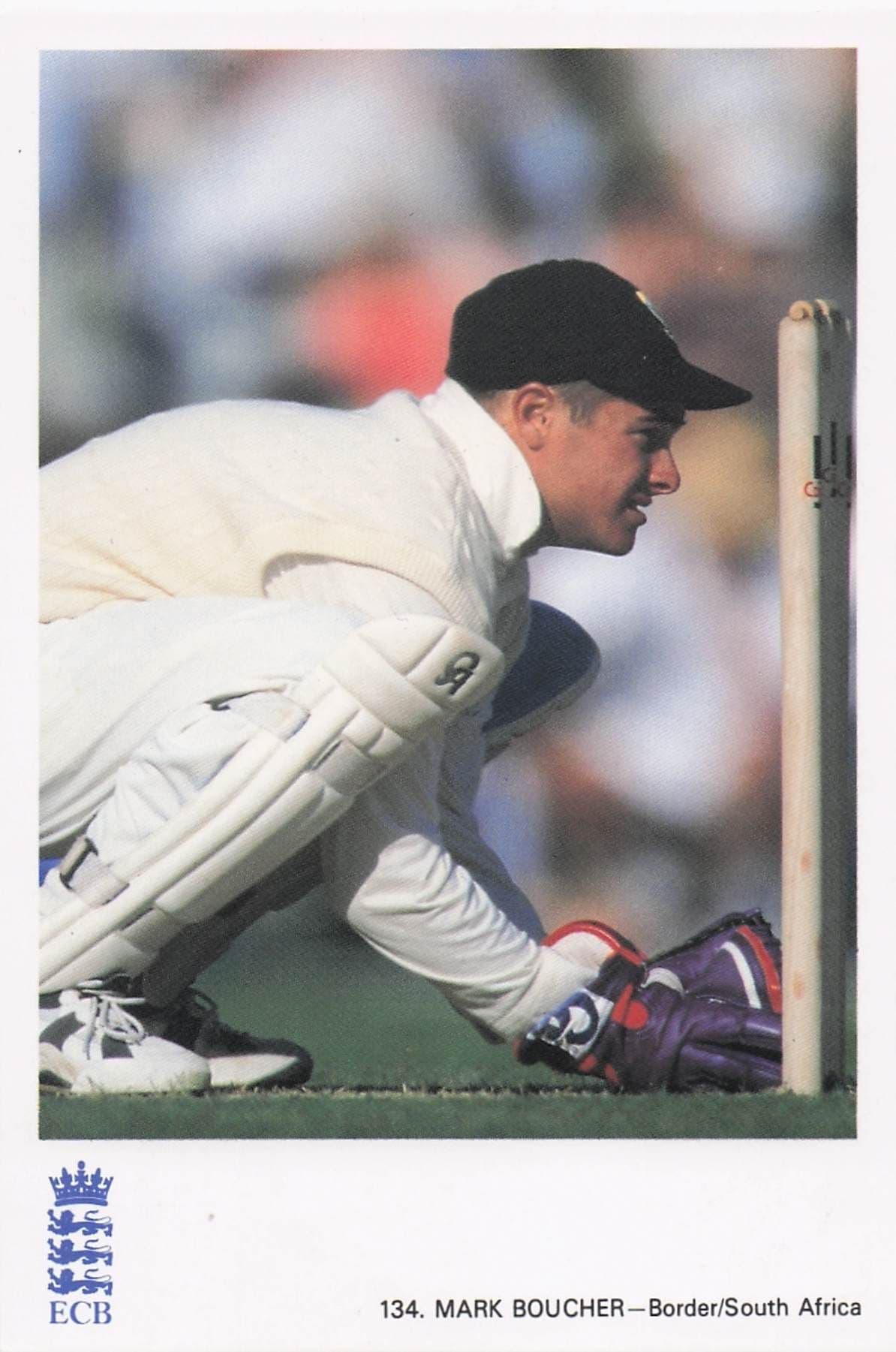 Mark Boucher Border South Africa TCCB Classic Cricket Photo Postcard