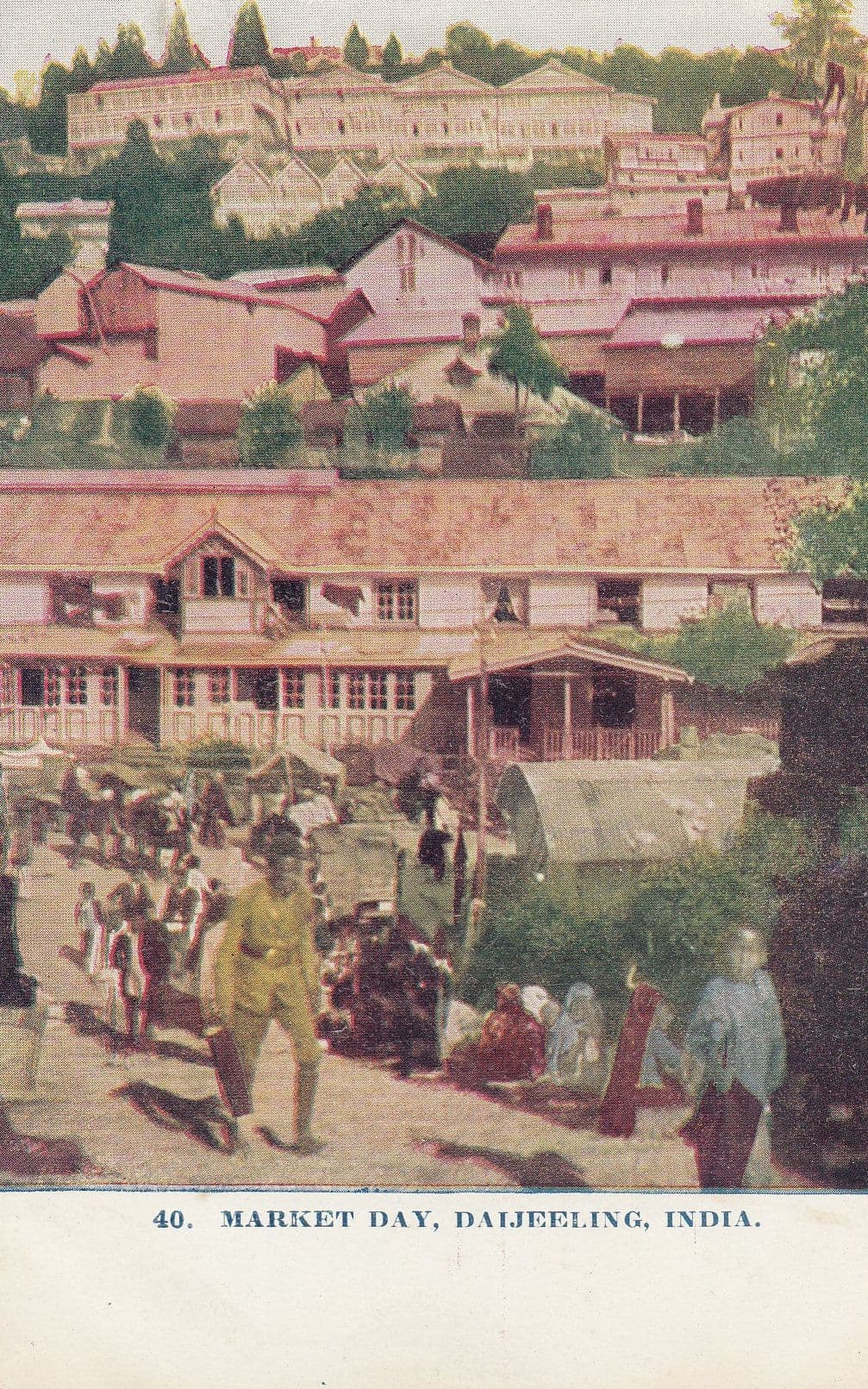 Market Day Daijeeling Indian Postcard