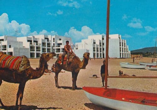 Maroc Holiday Club Camel Rides Postcard