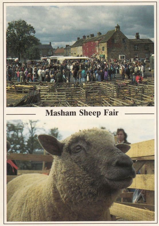 Masham Market Sheep Fair Postcard