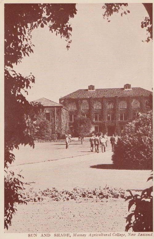 Massey Agricultural College Sun & Shade Gardens New Zealand Rare Photo Postcard