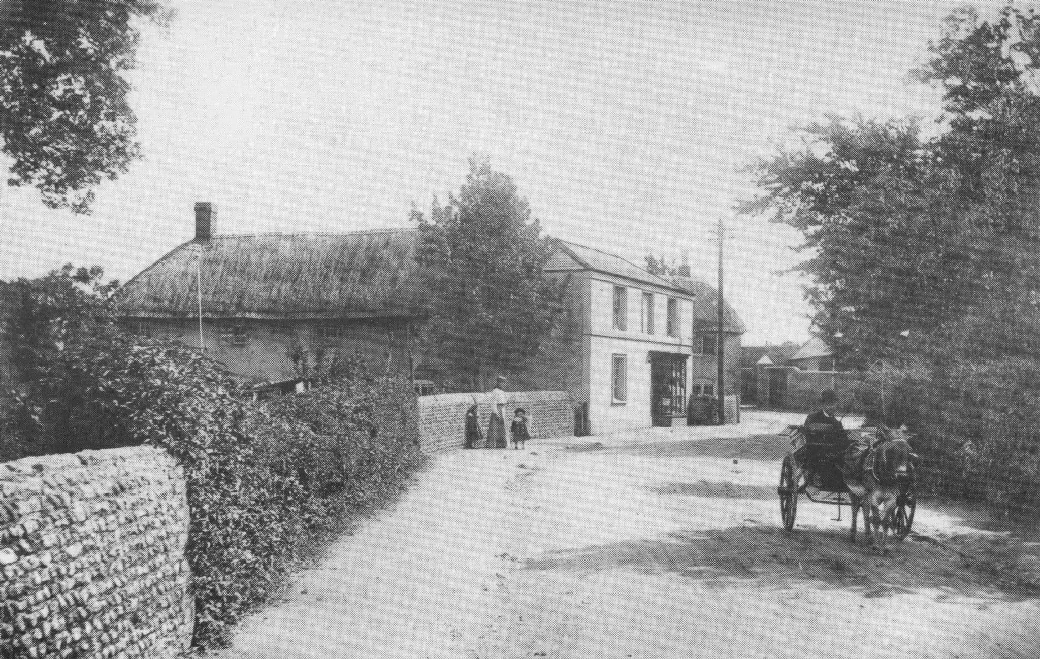 Mead Lane Upper Road Bognor Regis Grocers Sussex Postcard