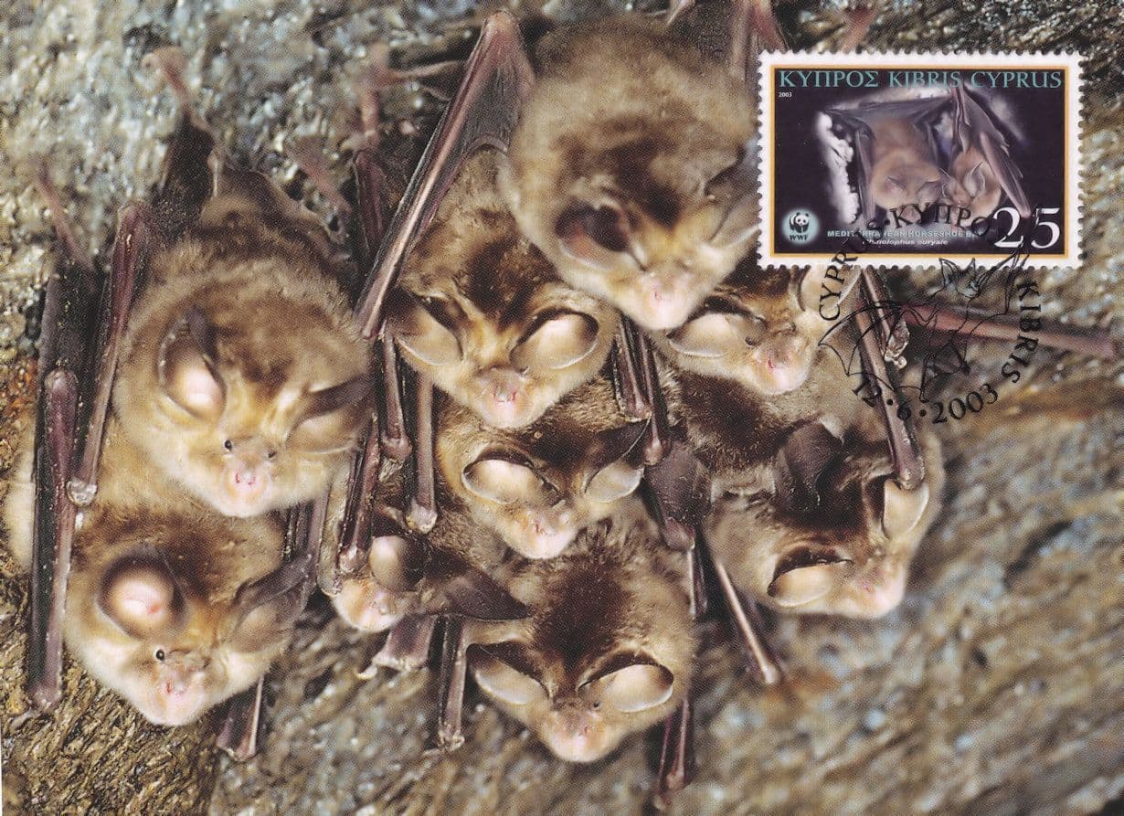 Mediterranean Horseshoe WWF Bat Bats First Day Cover Stamp Postcard