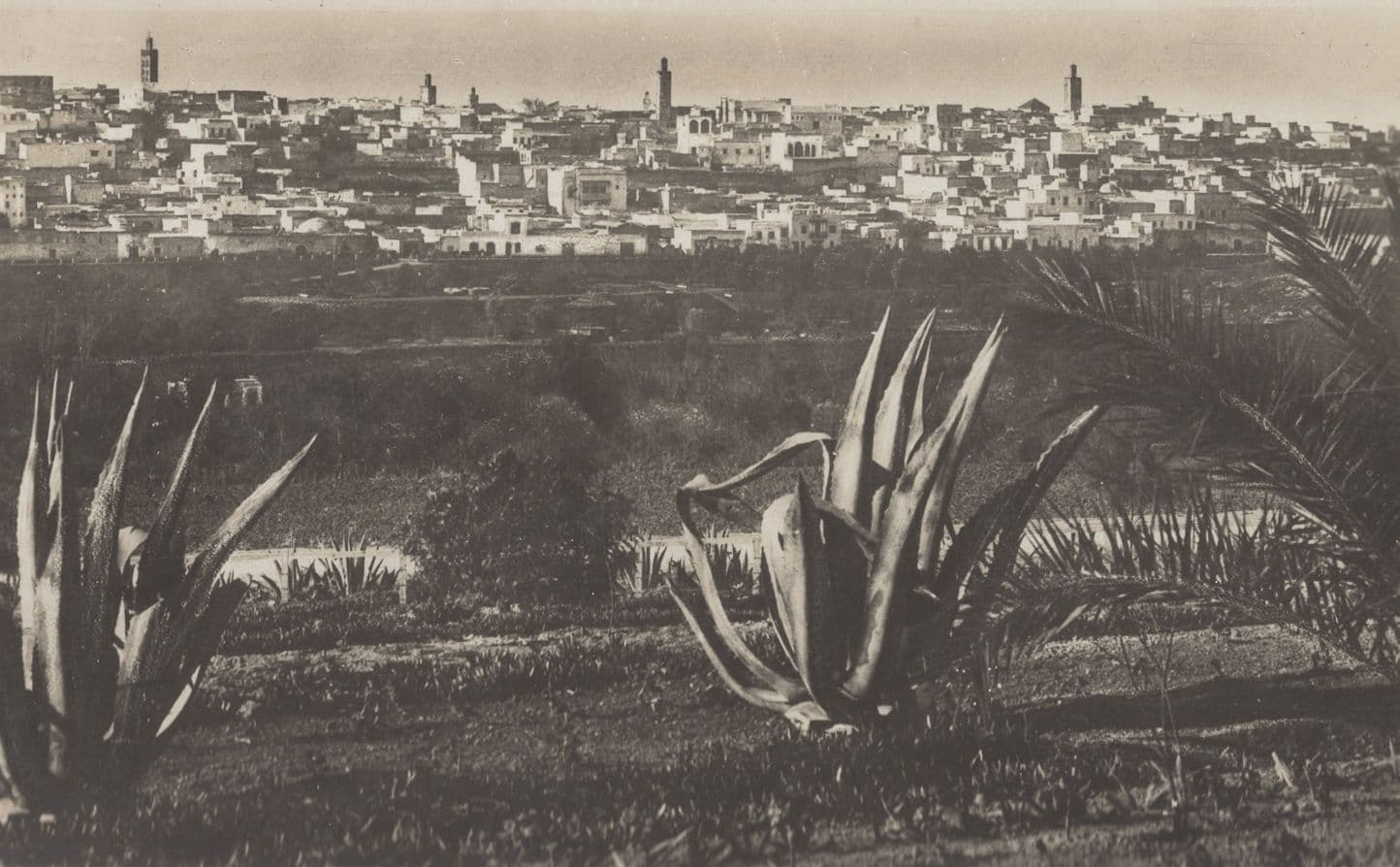 Meknes La Medina Morocco Real Photo Postcard