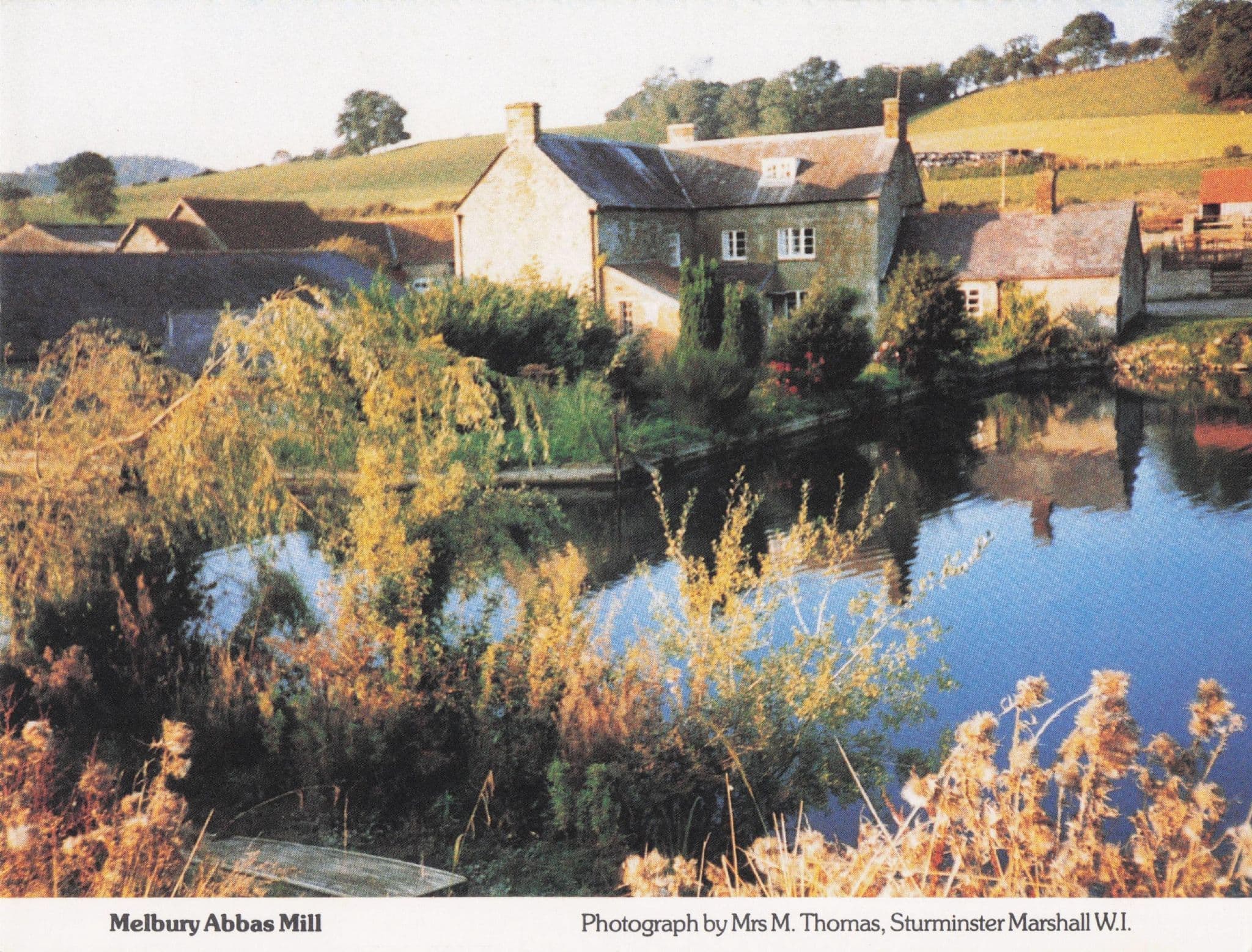 Melbury Abbas Mill River Dorset Women's Institute Rare Postcard