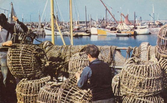 Mending The Fishing Baskets Pots Brixham 1970s Postcard