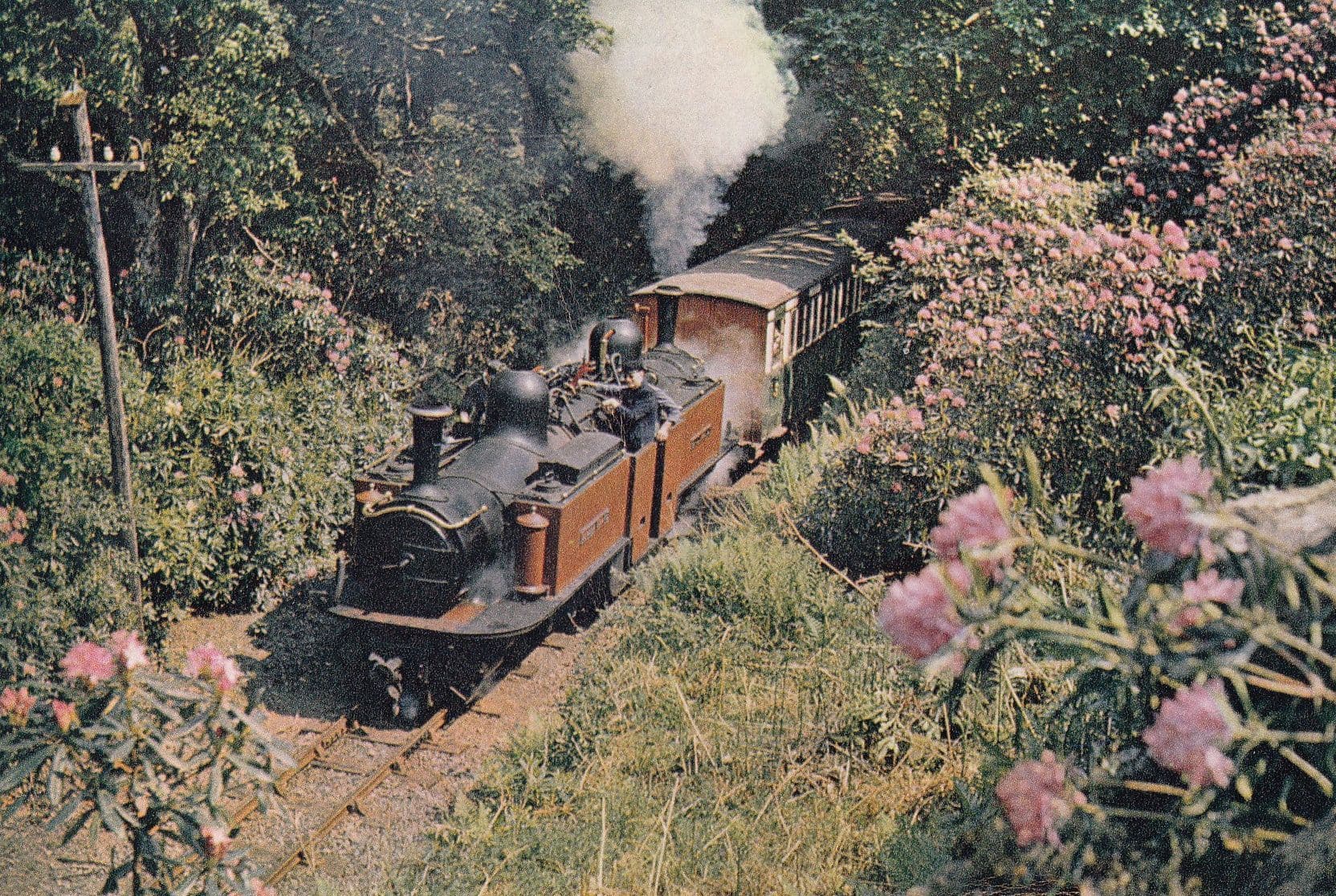 Merddin Emrys Train Double Farlie Locomotive Rhodendron Welsh Postcard