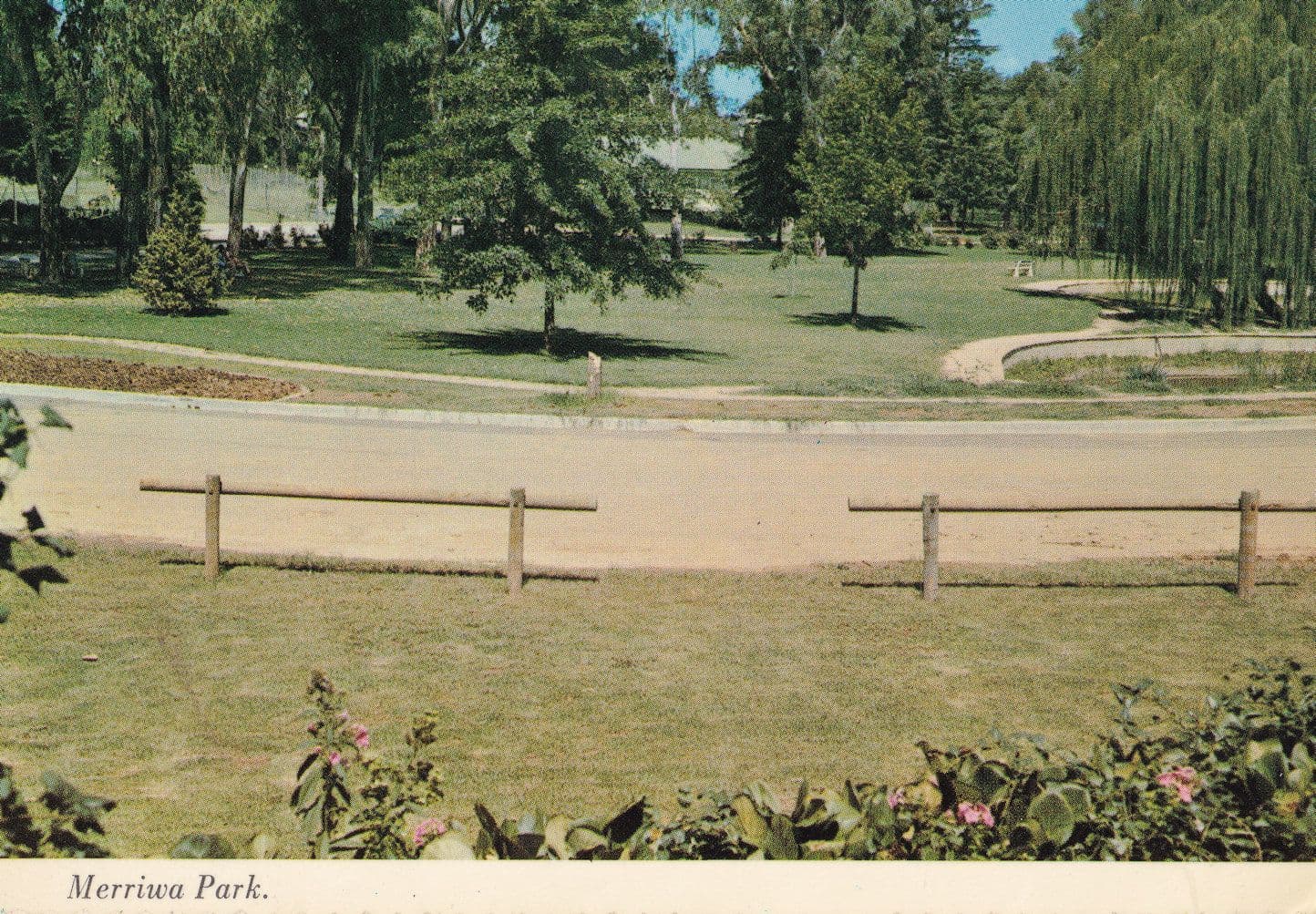 Merriwa Park Wangaratta Victoria Australia Postcard