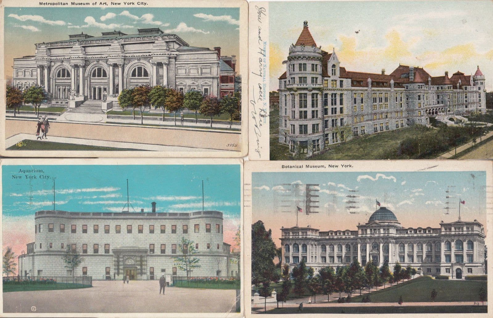 Metropolitan Botanical Art Aquarium Museum 4x Old New York Postcard