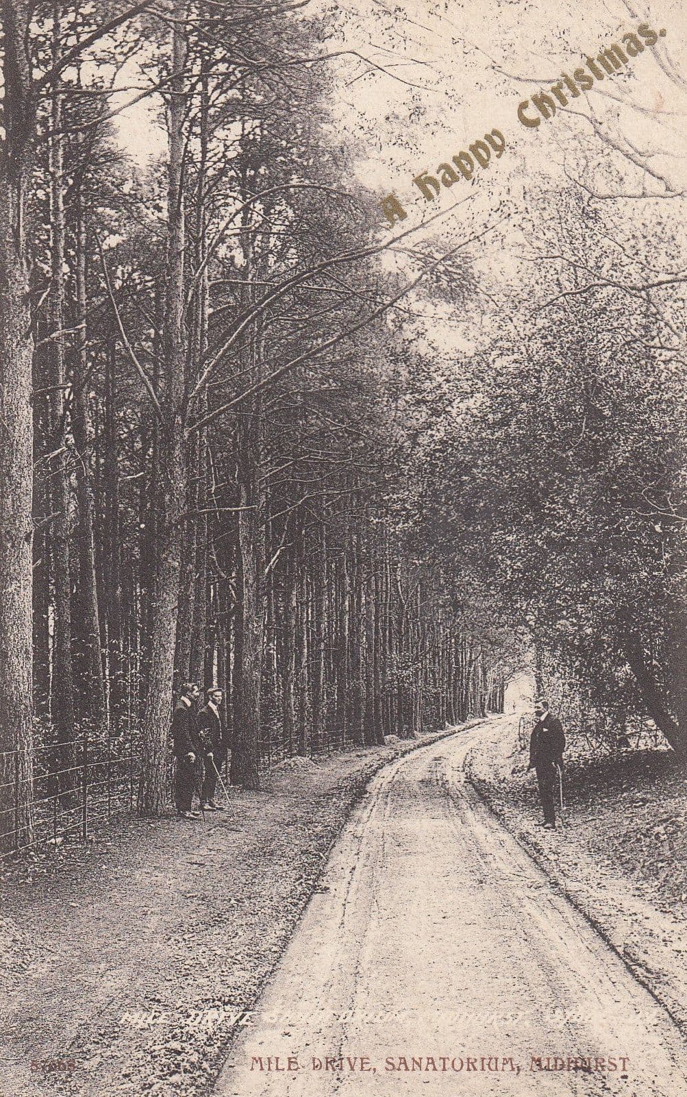 Mile Drive Sanatorium Midhurst Sussex Happy Christmas Postcard