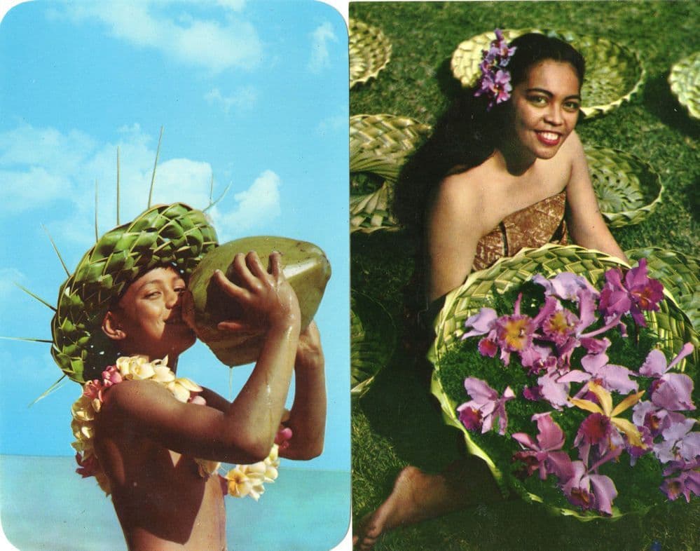 Milk Bar Hawaiian Style Milk Green Coconut Native Honolulu 2x Hawaii Postcard