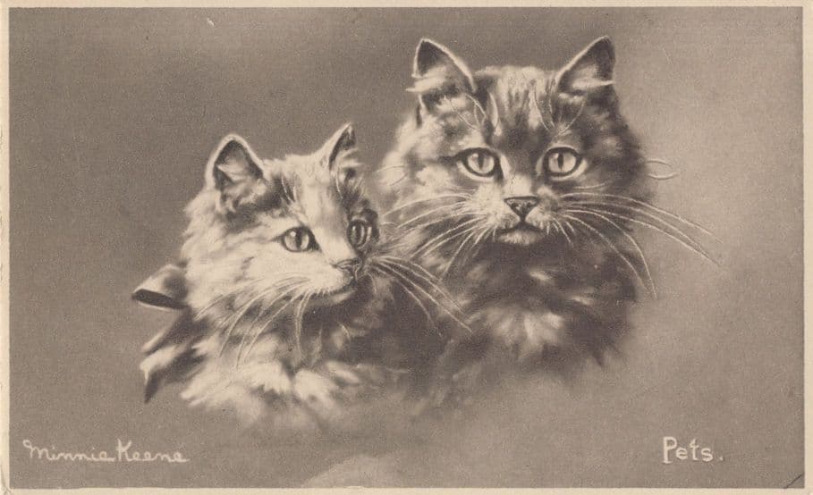 Minnie Keane Pets Kittens Cats Old Postcard