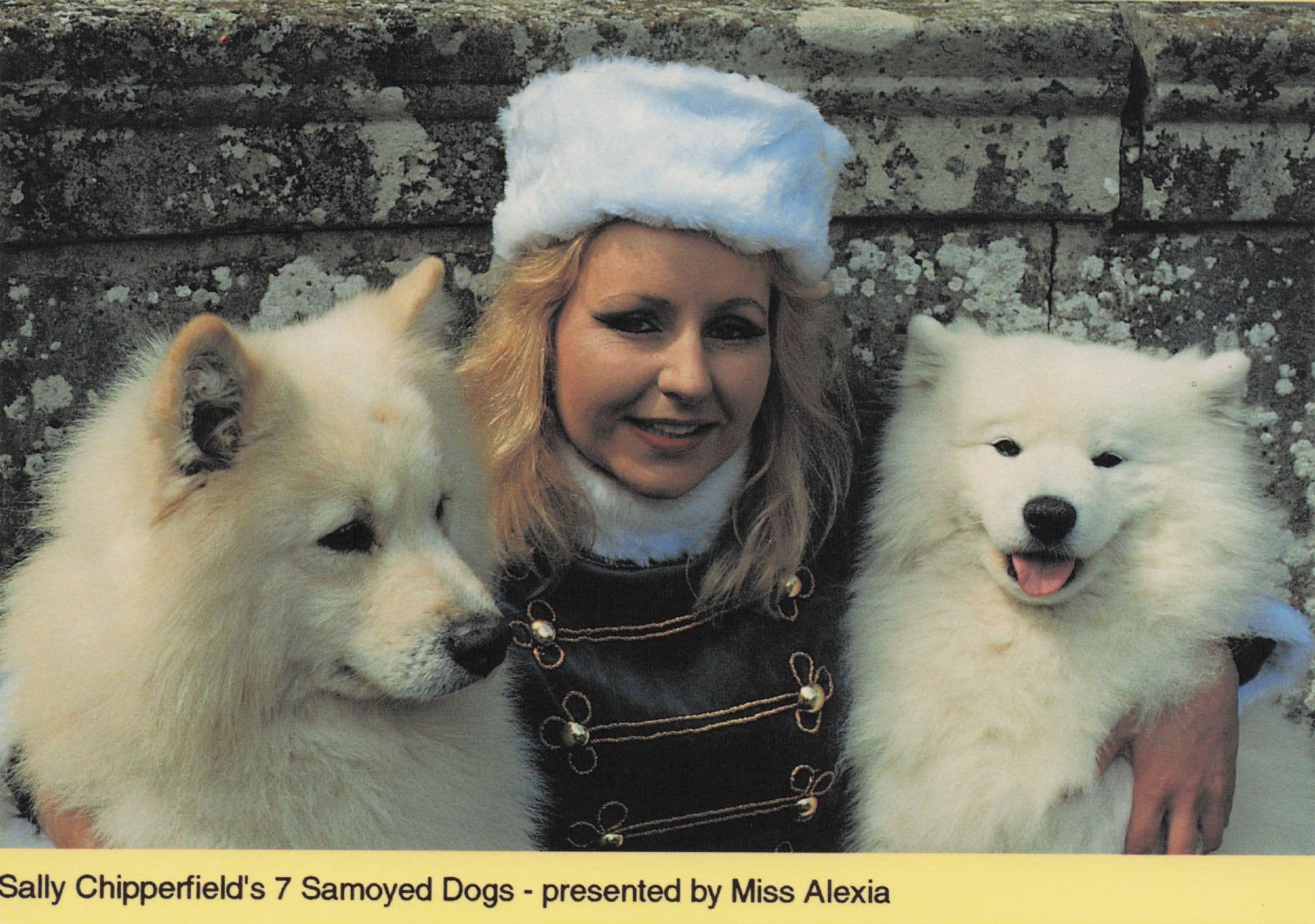 Miss Alexia Sally Chipperfield's Circus Dog Trainer Advertising PB Postcard Photo