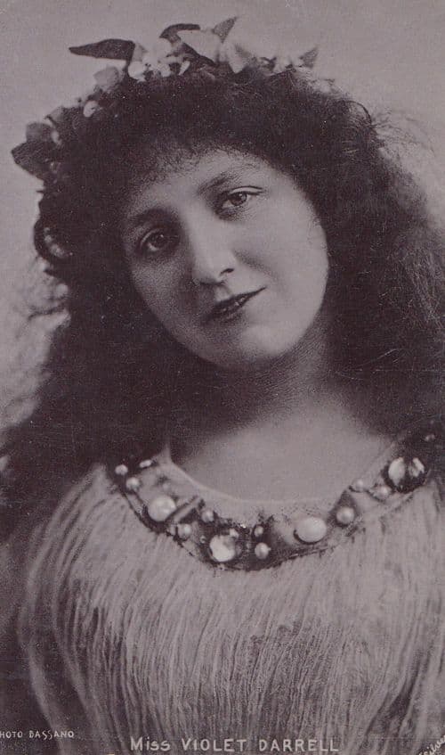 Miss Violet Darrell Postcard
