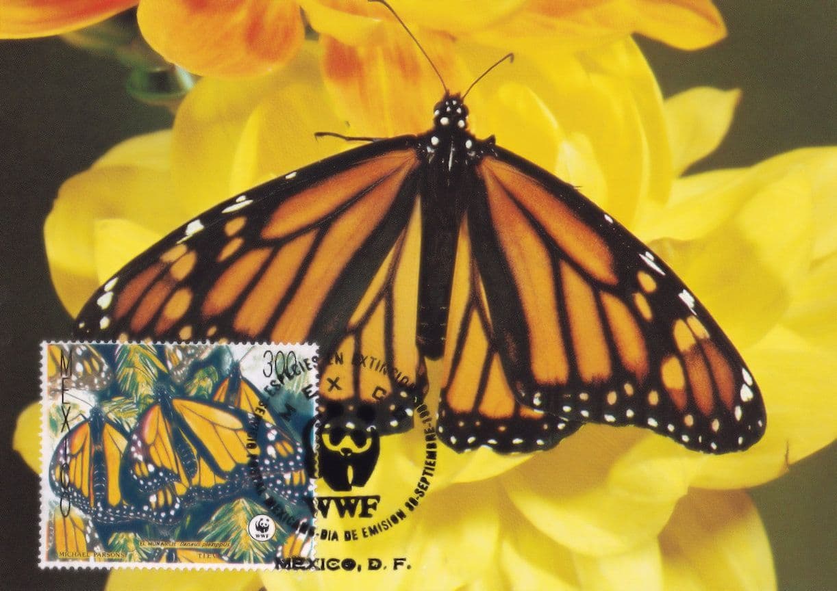 Monarch Butterfly Mexico WWF Stamp First Day Cover Postcard