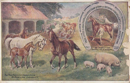 Moss Horse Cattle Manure Sheep Farm Litter Antique London Advertising Postcard