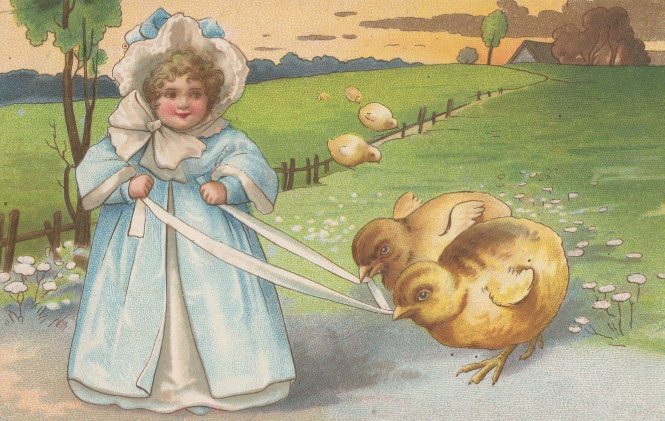 Mothers Pets Baby Ducks Birds Easter Old Greetings Misch Postcard