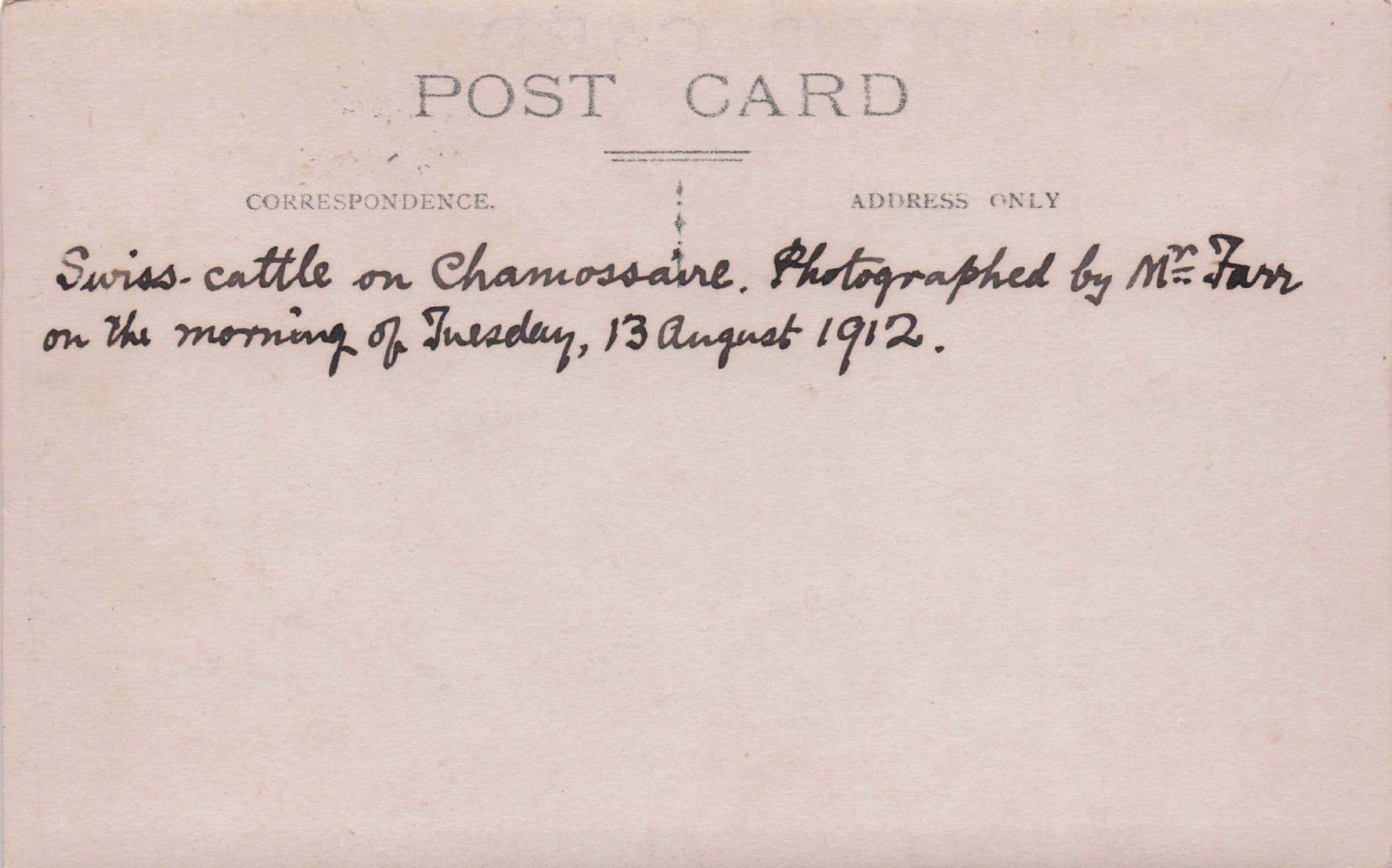 Mount Chamossaire Cattle 1912 Switzerland Real Photo Old Postcard