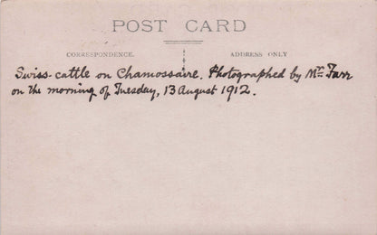 Mount Chamossaire Cattle 1912 Switzerland Real Photo Old Postcard