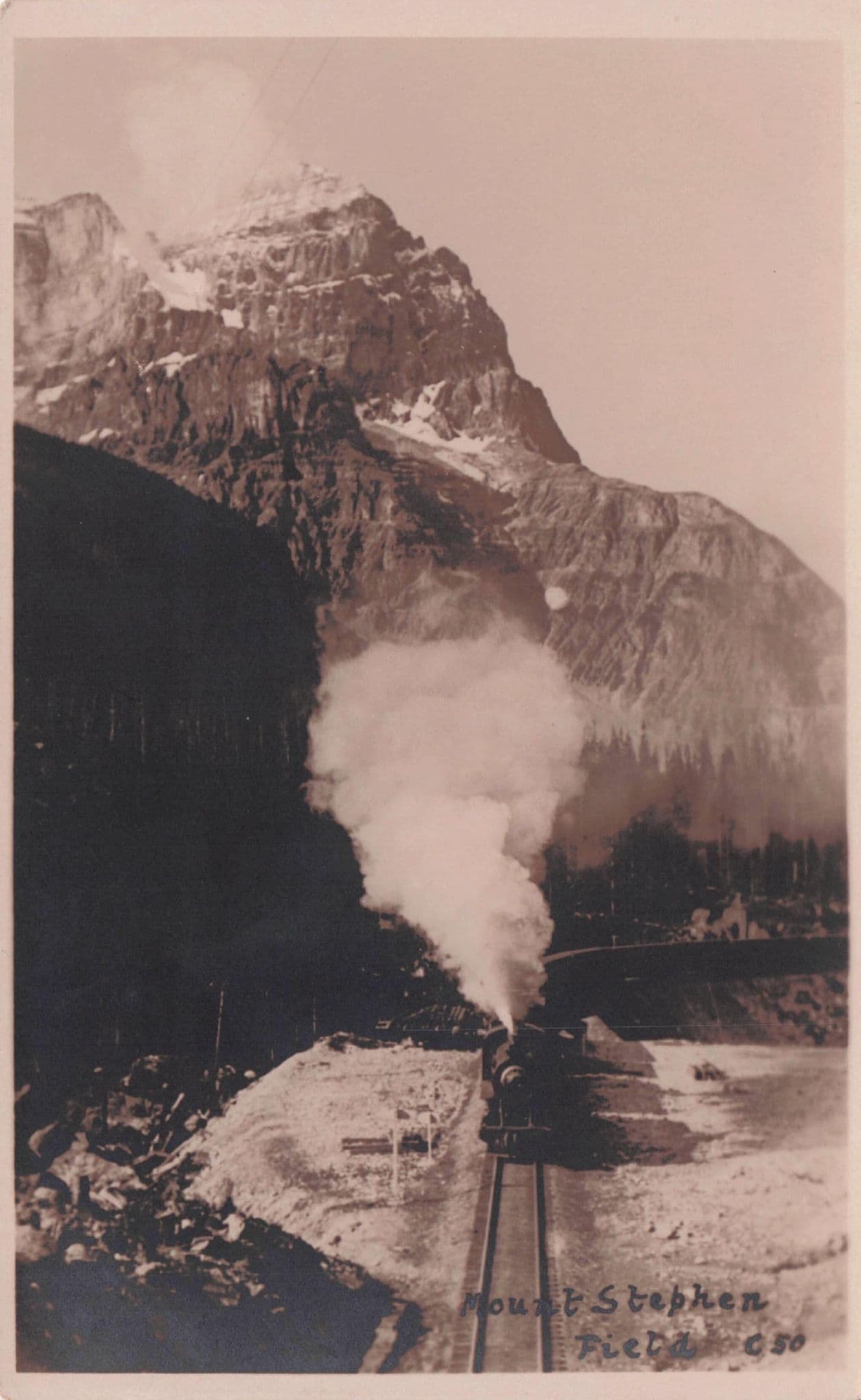 Mount Stephen Railroad Field Train Canada Old Postcard