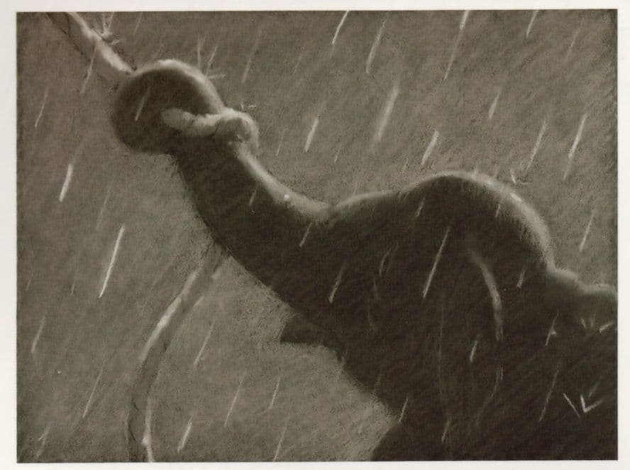 Mrs Jumbo Circus Tent Dumbo Movie Story Board Painting  Postcard