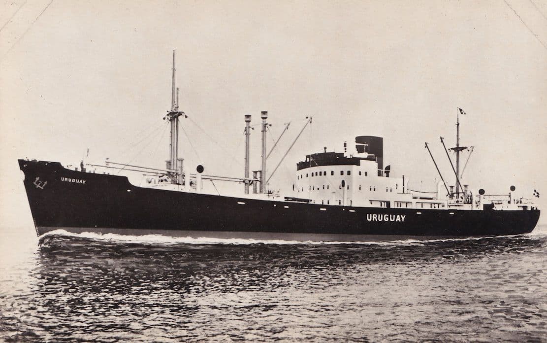 MS Uruguay Swedish America Line DFDS Ship RPC Postcard